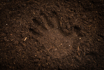 Woman hand trace on a ground.