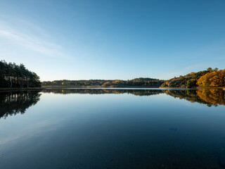 Fototapeta premium Calm water with autumn color trees reflecting in wide scene. Shot in Sweden, Scandinavia