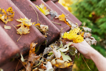 Cleaning gutter clogged with leaves