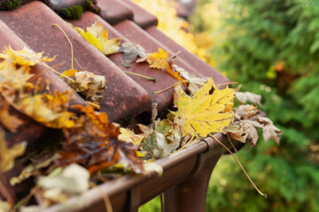 gutter clogged with leaves