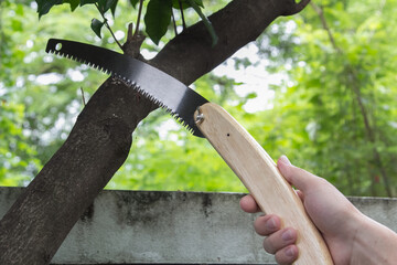 Man hand sawing tree branch by folding garden saw, gardening tool
