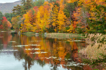 Fototapeta premium autumn trees reflected in water