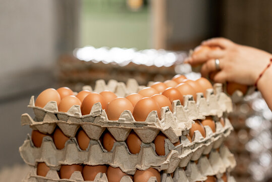 Manos de una mujer empacando huevos en la granja