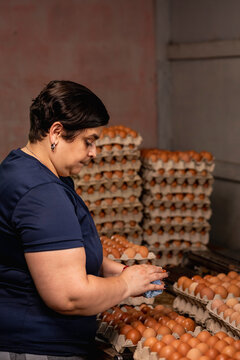 mujer latina con sobrepeso empacando huevos en la granja 