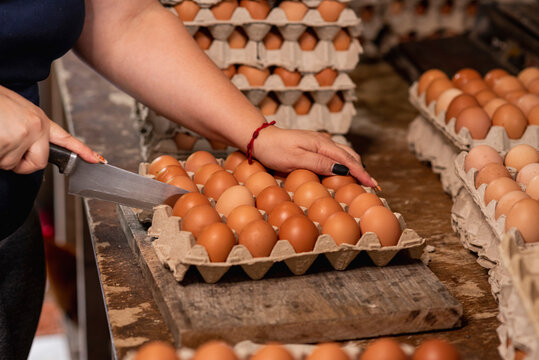 Manos de una mujer empacando huevos en la granja
