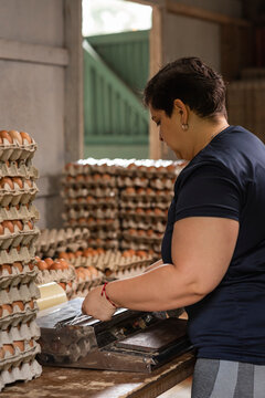 mujer latina con sobrepeso empacando huevos en la granja 