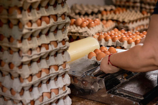 Proceso de empaque de cartones de huevos para la venta