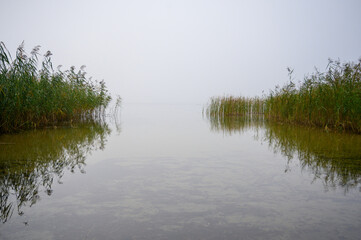 Neunkirchner See im Herbst