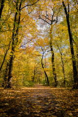 Jesienne pejzaże w parku Mogilskim