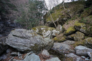 山奥に流れる川