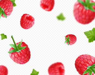 Raspberry background. Fresh falling realistic raspberry with green leaf on transparent background