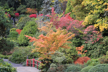 Beautiful colorful autumn trees in Kubota Garden, Seattle, Washington