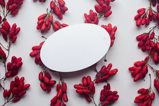 card mockup with red berries. barbaris