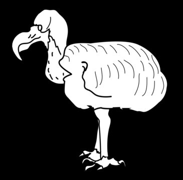 recommend clip art: The Extinct Dodo Bird