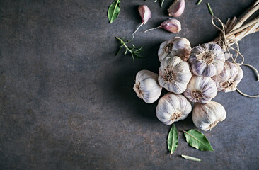 Bunch of organic garlic bulbs and herbs on rustic background. Copy space