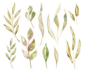 Watercolor dry green, yellow, mint wild leaves set. Isolated on white background. Hand drawn floral illustrations. For wallpaper, postcard, print, invitations, patterns, poster, packaging, linens etc.