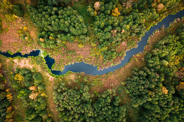 River and swamps in the autumn. Aerial view of wildlife.