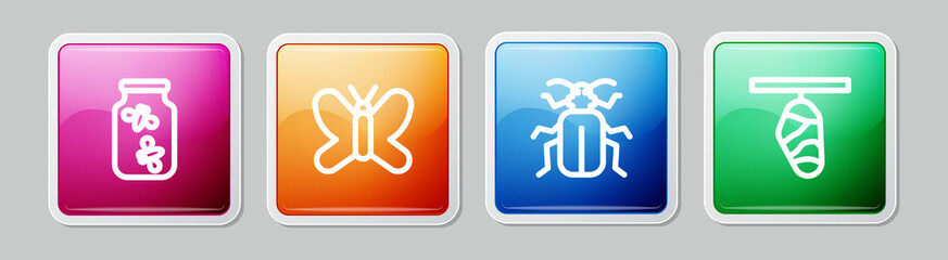 Set line Fireflies bugs in a jar, Butterfly, Chafer beetle and cocoon. Colorful square button. Vector