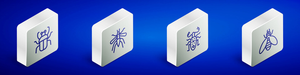 Set Isometric line Stink bug, Mosquito, Beetle deer and icon. Vector
