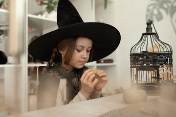 Portrait of girl in a witch costume, a black hat on the child's head, Halloween party