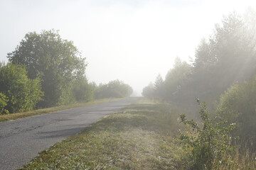 Moisture evaporating from the roadside in an early September morning.
