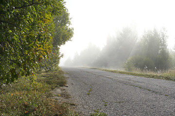 Moisture evaporating from the roadside in an early September morning.