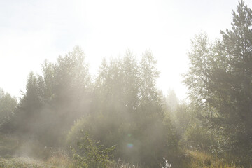 Moisture evaporating from the roadside in an early September morning.
