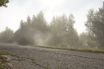 Moisture evaporating from the roadside in an early September morning.