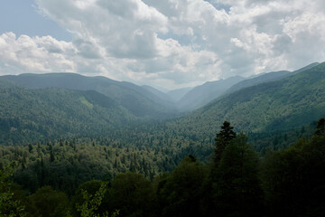 Caucasian State Natural Biosphere Reserve named after Kh.G. Shaposhnikov. Lago-Naki plateau. Russia.