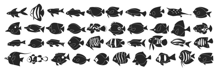 Tropical fish vector black icon set . Collection vector illustration aquarium fish on white background. Isolated black illustration icon set of tropical animal for web design.