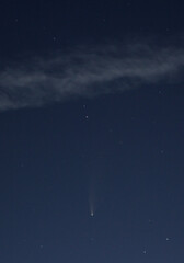 flyby of comet C / 2020 F3 (NEOWISE) in the evening blue sky in 2020 