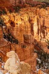 The hoodoos of Bryce Canyon 