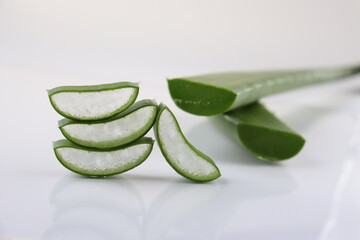 Aloe vera on a white background. Herb for the treatment and care of the skin. Spa and cosmetology. Moisturizing gel.