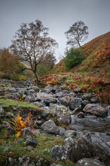 Naklejka na ściany i meble Fast creek in autumn mountains, Lake District, Cumbria, UK