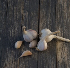 garlic on a wooden background