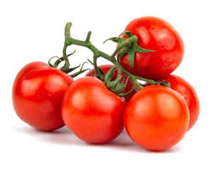 Tomatoes red branch plant isolated on the white background