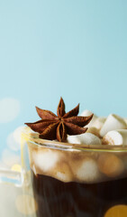 Hot chocolate with marshmallow. Spicy winter drinks. Celebrating Christmas beverages. Vertical orientation 