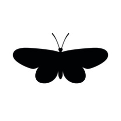 Butterfly Silhouette Simply Shapes. Monochrome vector isolated on white background
