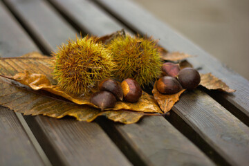 Postal de oto&ntilde;o