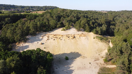 Sable au milieu d'une forêt