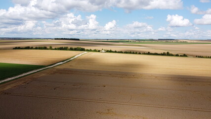 Moissonneuse dans les champs