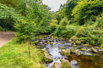 Fototapeta na wymiar A view along Hebden Beck towards stepping stones on the outskirts of Hebden Bridge, Yorkshire, UK in summertime