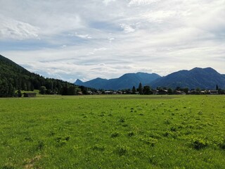 Idyllic landscape in the Alps with fresh green meadows