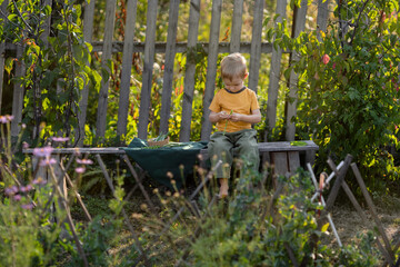 Naklejka na ściany i meble Life in the village.A boy is sitting on a wooden bench