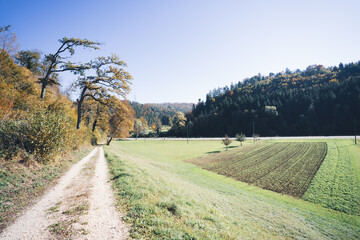 Amazing  hiking through Region Wasserfallen in Baselland in Switzerland. Waldenburg, Liestal, Bubendorf, Sissach are the important hiking places in this part of Switzerland