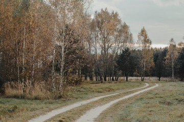 Perehod tourist trial, Poleski national park, Polesie, Poland.