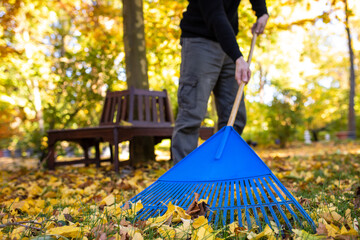 Mann fegt Laub mit blauen Rechen aus Plastik im Herbst zusammen