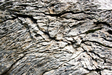 detail of wrinkled limestone texture