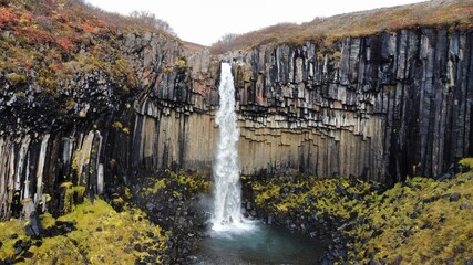 Wasserfall Island Svartifoss