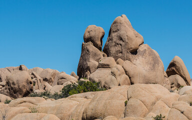 Joshua Tree Nationalpark